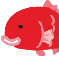 15762
