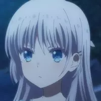 16243
