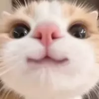 17489